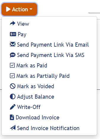 Invoice Summary